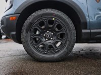 2025 Ford Bronco Sport Badlands | 4X4 | 2.0L | ROOF | TECH | CRGO MGMNT