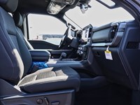 2025 Ford F-150 XLT | 4X4 | 3.5L | 302A | BLK PK | FX4 | BED UTL