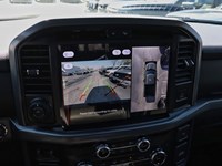 2025 Ford F-150 XLT | 4X4 | 3.5L | 302A | BLK PK | FX4 | BED UTL