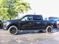 2025 Ford F-150 XLT | 4X4 | HYBRID | 303A | BLK PK PLUS | 20s