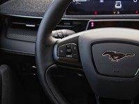 2025 Ford Mustang Mach-E Premium | AWD | EXT BAT | 360 | INT PROT | NACS