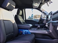 2026 Ford F-150 XLT | 4X4 | 5.0L | 302A | 157 | BLK PLS| BED UTL