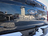 2026 Ford F-150 XLT | 4X4 | 5.0L | 302A | 157 | BLK PLS| BED UTL