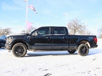 2026 Ford F-150 XLT | 4X4 | 5.0L | 302A | 157 | BLK PLS| BED UTL