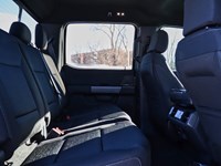 2026 Ford F-150 XLT | 4X4 | 5.0L | 302A | 157 | BLK PLS| BED UTL