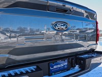 2026 Ford F-150 XLT | 4X4 | 5.0L | 302A | 157 | BLK PLS| BED UTL