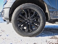 2026 Ford F-150 XLT | 4X4 | 5.0L | 302A | 157 | BLK PLS| BED UTL