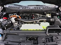 2026 Ford F-150 XLT | 4X4 | HYBRID | 302A | BLK PK | BED UTL | MOP