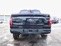 2026 Ford F-150 XLT | 4X4 | HYBRID | 302A | BLK PK | BED UTL | MOP