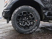 2026 Ford F-150 XLT | 4X4 | HYBRID | 302A | BLK PK | BED UTL | MOP