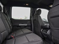 2026 Ford F-150 XLT | 4X4 | 3.5L | 302A | 157 | BLK PK | BED UTL