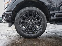 2026 Ford F-150 XLT | 4X4 | 3.5L | 302A | 157 | BLK PK | BED UTL