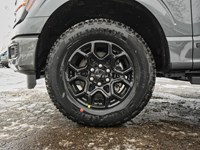 2026 Ford F-150 XLT | 4X4 | HYBRID | 302A |BLK PK |MB OFF |BED UTL