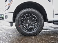 2026 Ford F-150 XLT | 4X4 | HYBRID | 302A | BLK PK | BED UTL | T/H