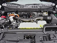 2026 Ford F-150 XLT | 4X4 | HYBRID | 302A | BLK PK | FX4 | BED UTL