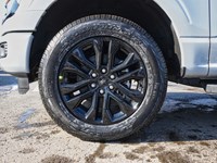 2026 Ford F-150 XLT | 4X4 | 3.5L | 302A | BLK PK PLS |BED UTL |20s