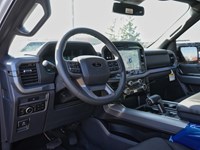 2026 Ford F-150 XLT | 4X4 | 3.5L | 302A | BLK PK PLS |BED UTL |20s