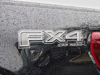 2026 Ford F-150 XLT | 4X4 | HYBRID | 302A | BLK PK | FX4 | BED UTL