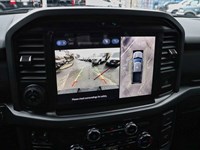 2026 Ford F-150 XLT | 4X4 | HYBRID | 302A | BLK PK | FX4 | BED UTL