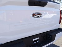 2026 Ford F-150 XLT | 4X4 | 3.5L | 301A | 157 | BLK PKG