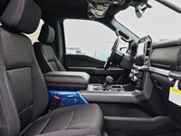 2026 Ford F-150 XLT | 4X4 | 3.5L | 302A | BLK PK PLS | BED UTL