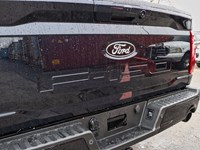 2026 Ford F-150 XLT | 4X4 | 3.5L | 302A | BLK PK PLS | BED UTL