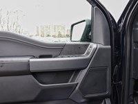 2026 Ford F-150 XLT | 4X4 | 3.5L | 302A | BLK PK PLS | BED UTL