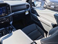 2026 Ford F-150 XLT | 4X4 | 3.5L | 302A | BLK PK PLS | BED UTL