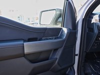 2026 Ford F-150 XLT | 4X4 | 3.5L | 302A | BLK PK PLS | BED UTL