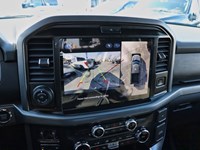 2026 Ford F-150 XLT | 4X4 | 3.5L | 302A | BLK PK PLS | BED UTL