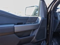 2026 Ford F-150 XLT | 4X4 | 3.5L | 302A | BLK PK PLS | BED UTL