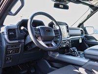 2026 Ford F-150 XLT | 4X4 | 3.5L | 302A | BLK PK PLS | BED UTL