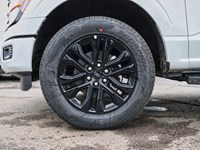 2026 Ford F-150 XLT | 4X4 | 5.0L |303A |BLK PK PLS |ROOF | BED UTL