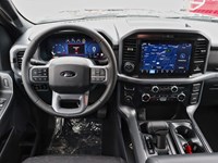 2026 Ford F-150 XLT | 4X4 | 3.5L | 302A | BLK PK PLS | BED UTL