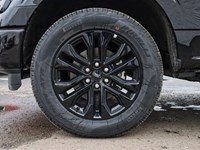 2026 Ford F-150 XLT | 4X4 | 3.5L | 302A | BLK PK PLS | BED UTL