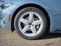 2026 Ford Mustang EcoBoost | 2.3L | 100A | 10-SPD AUTO | 18s