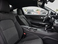 2026 Ford Mustang EcoBoost | 2.3L | 100A | AUTO | NITE PONY PKG