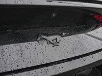 2026 Ford Mustang EcoBoost | 2.3L | 100A | AUTO | NITE PONY PKG