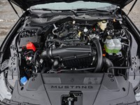 2026 Ford Mustang EcoBoost | 2.3L | 100A | AUTO | NITE PONY PKG
