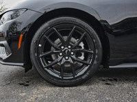 2026 Ford Mustang EcoBoost | 2.3L | 100A | AUTO | NITE PONY PKG