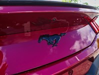 2026 Ford Mustang EcoBoost Premium | 2.3L | 200A | NITE PONY PKG