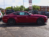 2026 Ford Mustang EcoBoost Premium | 2.3L | 200A | NITE PONY PKG
