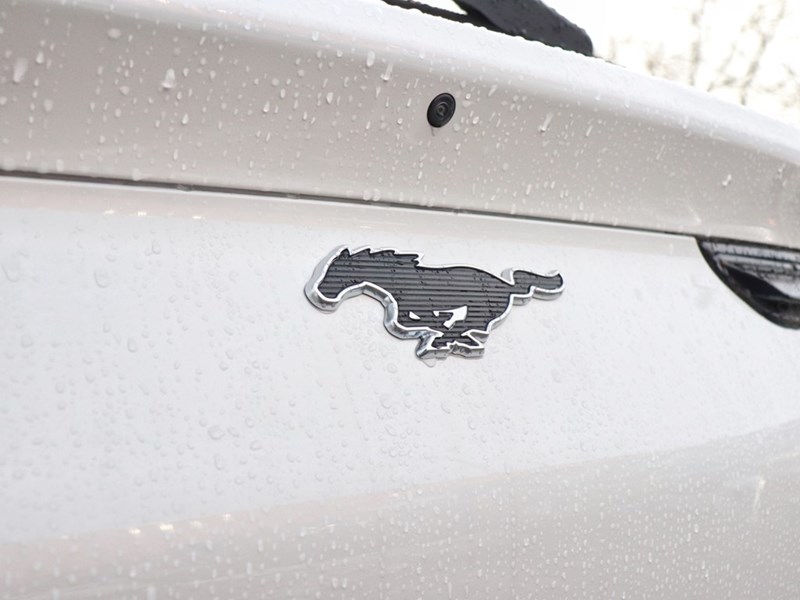 2025 Ford Mustang Mach-E Premium | AWD | EXT BAT | 360 | INT PROT | NACS