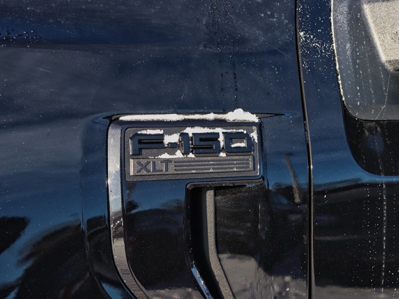 2026 Ford F-150 XLT | 4X4 | 5.0L | 302A | 157 | BLK PLS| BED UTL