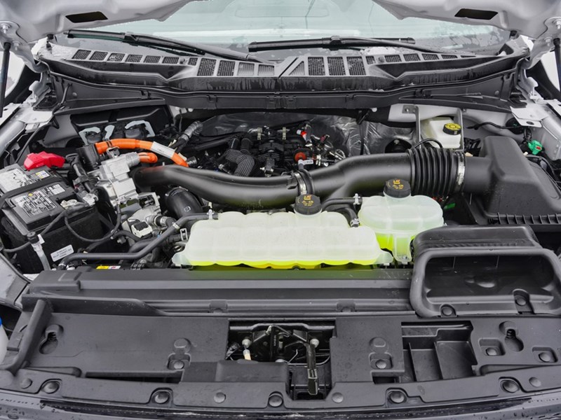 2026 Ford F-150 XLT | 4X4 | HYBRID | 302A | BLK PK | BED UTL | T/H