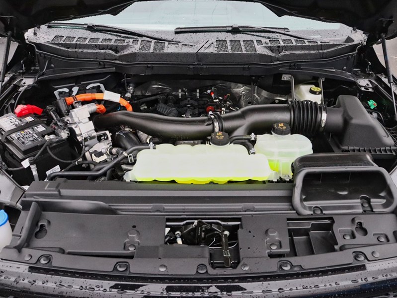 2026 Ford F-150 XLT | 4X4 | HYBRID | 302A | BLK PK | FX4 | BED UTL