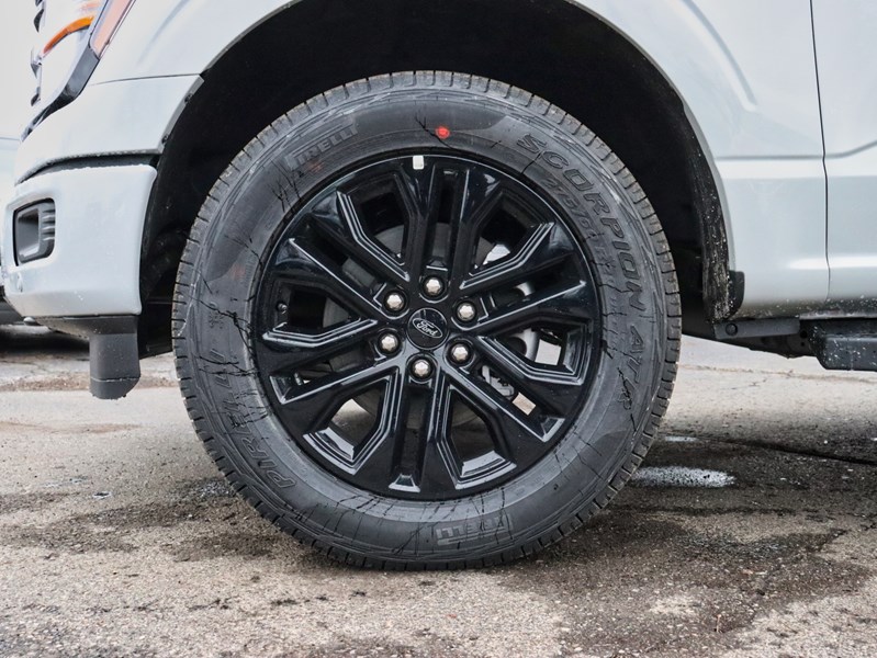 2026 Ford F-150 XLT | 4X4 | 5.0L |303A |BLK PK PLS |ROOF | BED UTL