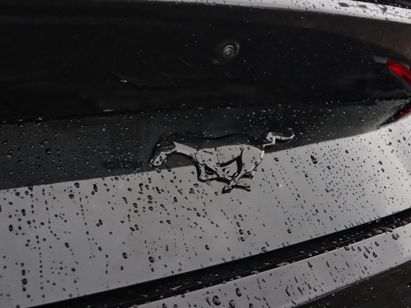 2026 Ford Mustang EcoBoost | 10-SPD AUTO | NITE PONY PKG | 19s