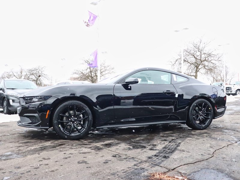 2026 Ford Mustang EcoBoost | 10-SPD AUTO | NITE PONY PKG | 19s