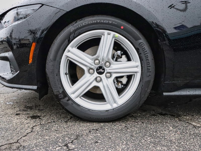 2026 Ford Mustang EcoBoost | 2.3L | 100A | 10-SPD AUTO